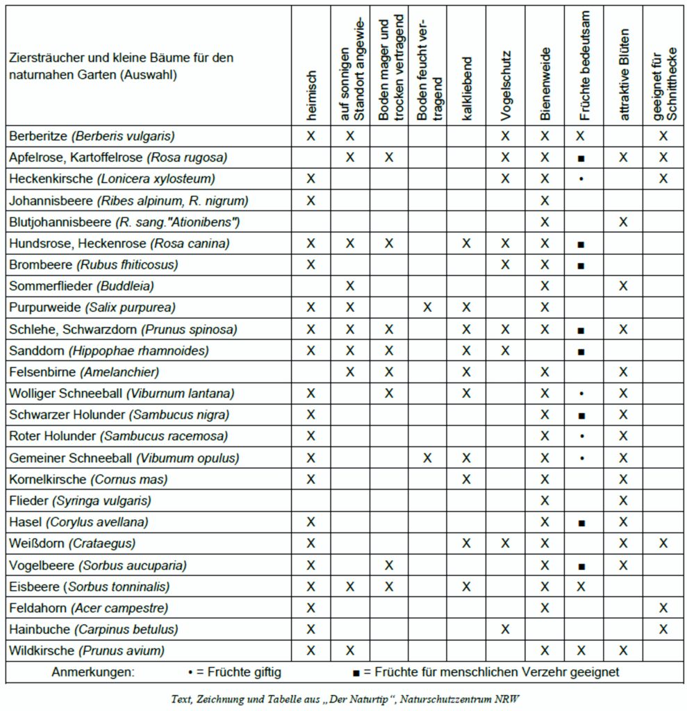 Tabelle Gehölze