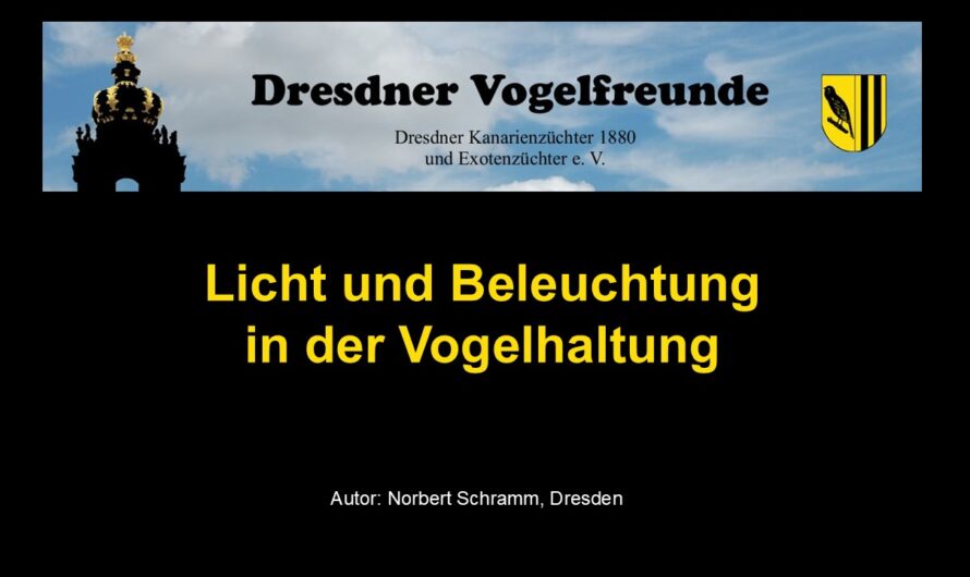 Licht und Beleuchtung in der Vogelgaltung