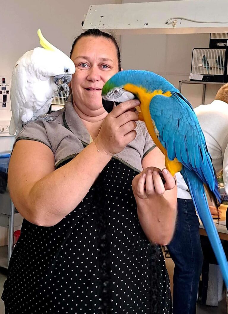 Sweety und Dexter bei Ramoona Becker