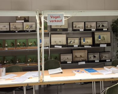 Vögel warten auf neue Körnergeber